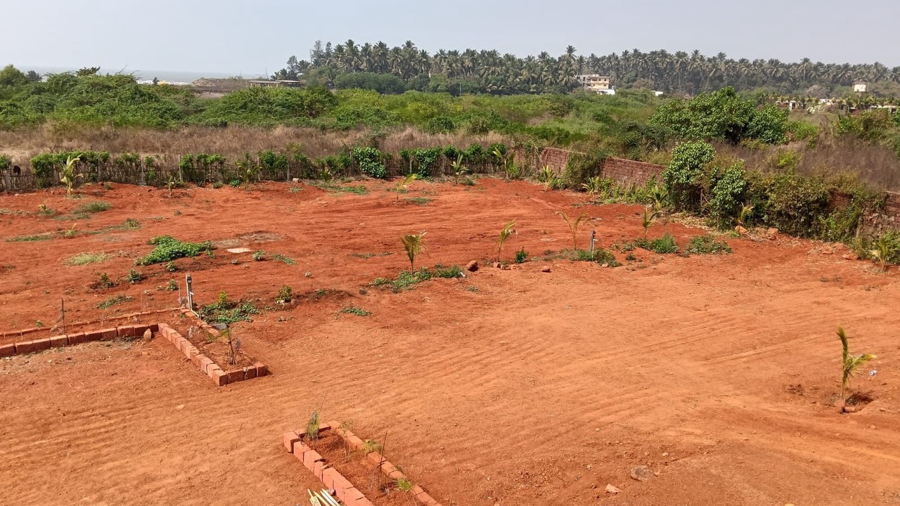 Photo of Outdoor in Mhsala