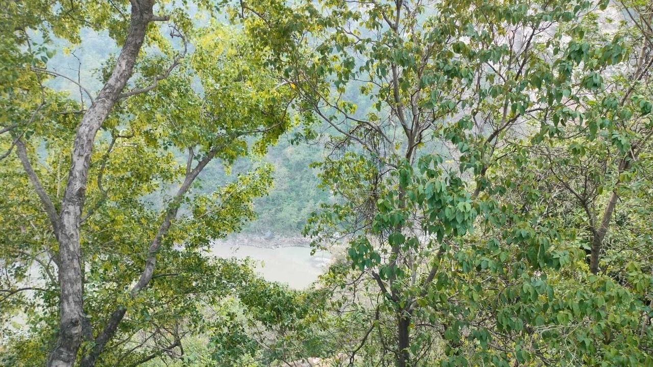 Photo of Others in Shivanandi