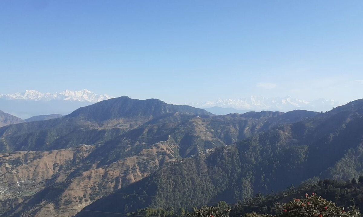Photo of Others in Dhanaulti