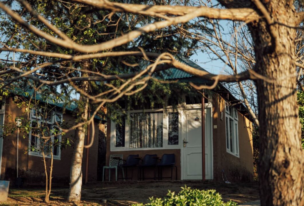 Photo of Outdoor in Shoghi
