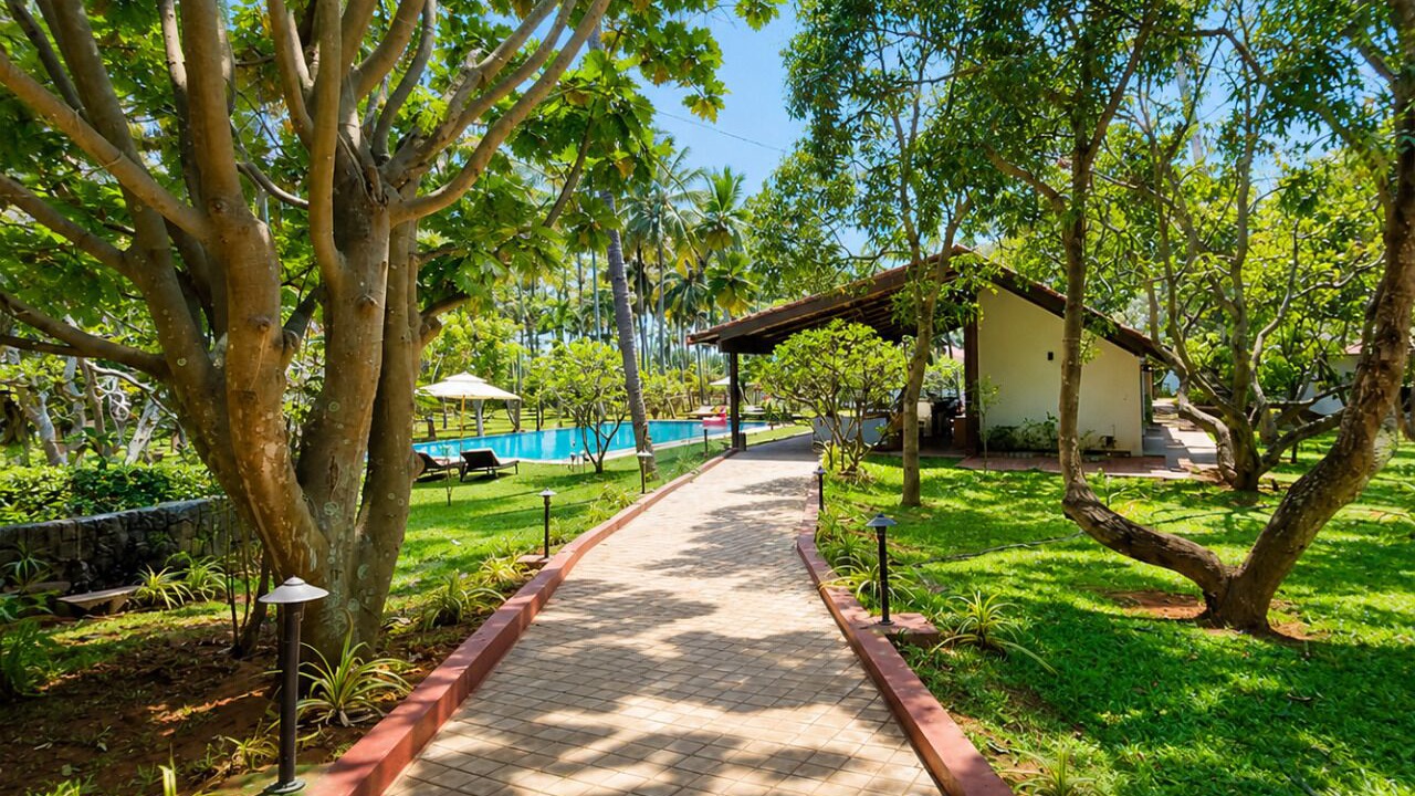 Photo of Outdoor in Narasapura