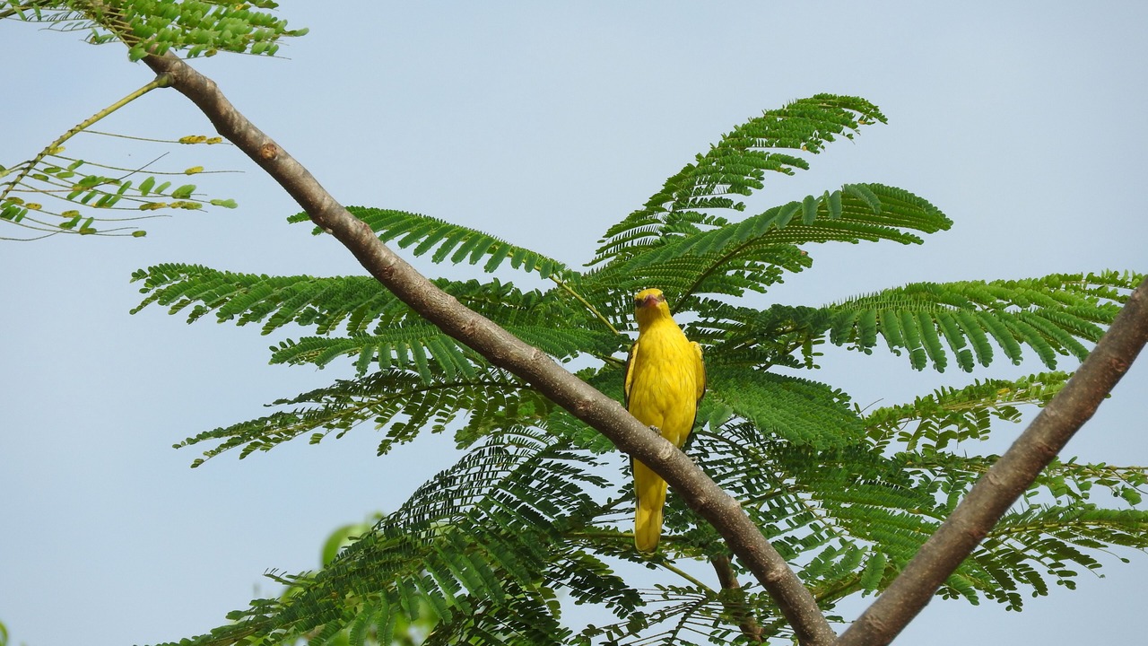 Photo of Outdoor in Kambare N.m.