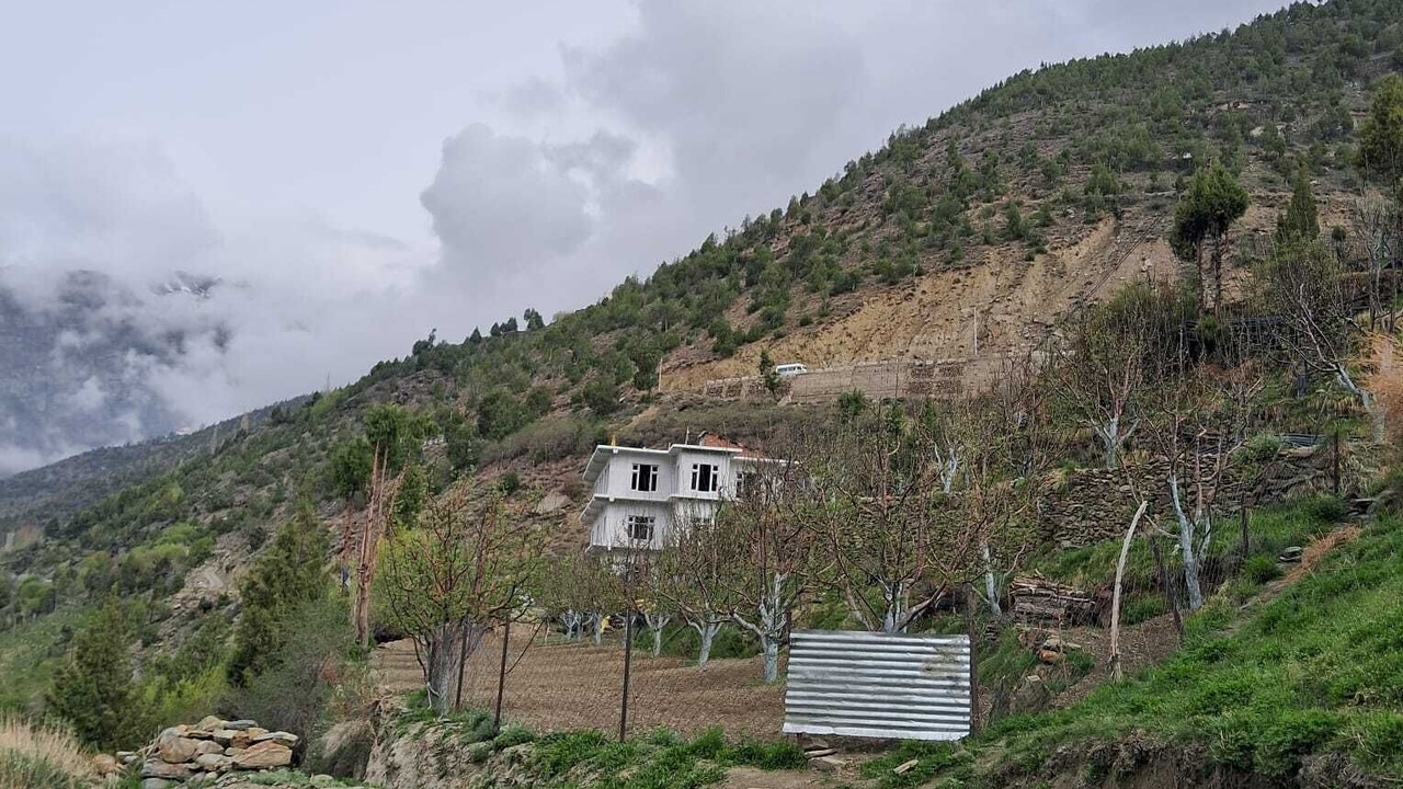 Photo of Bedroom in Keylong