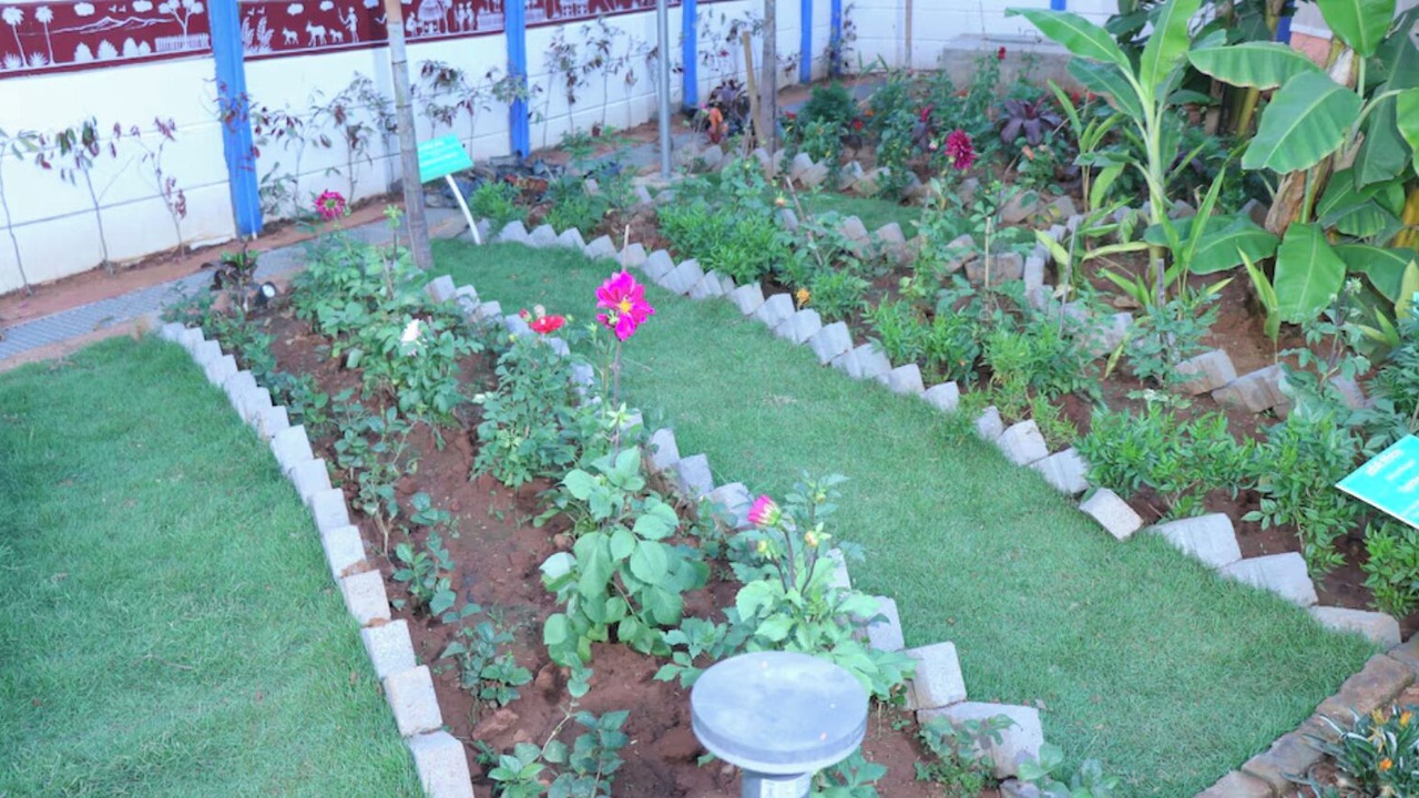 Photo of Outdoor in Sambalpur