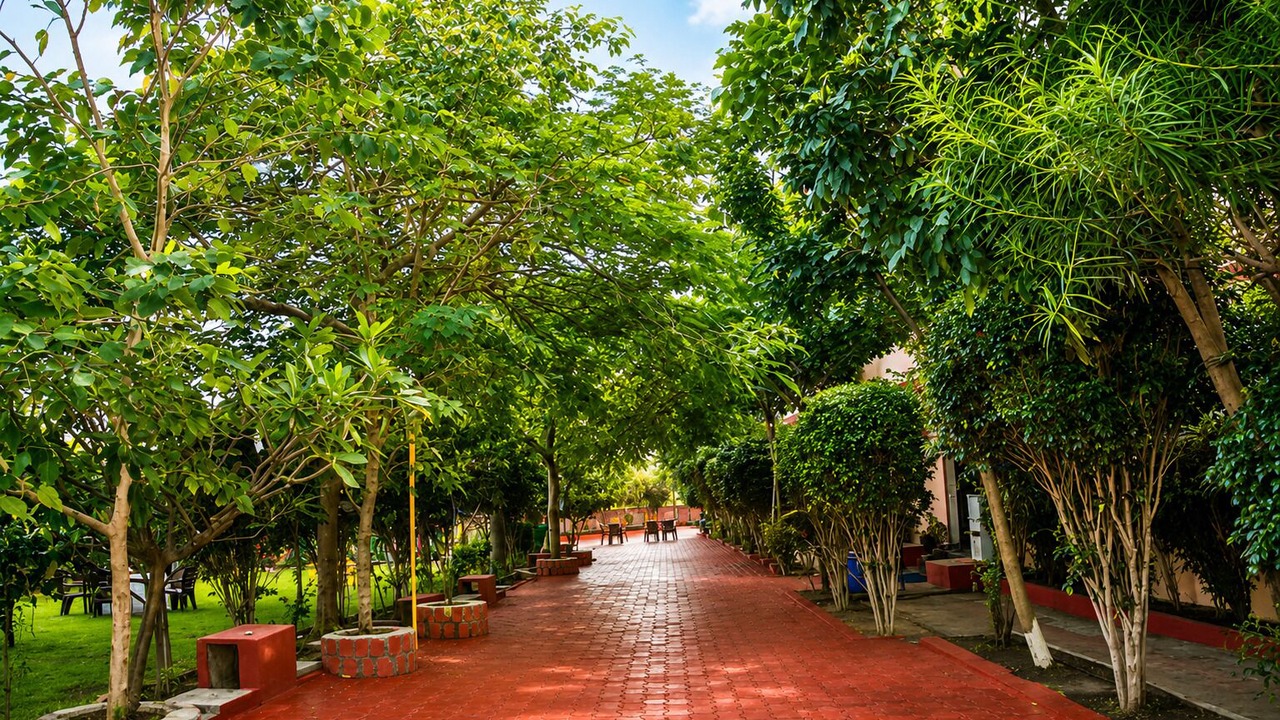 Photo of Outdoor in Dhar