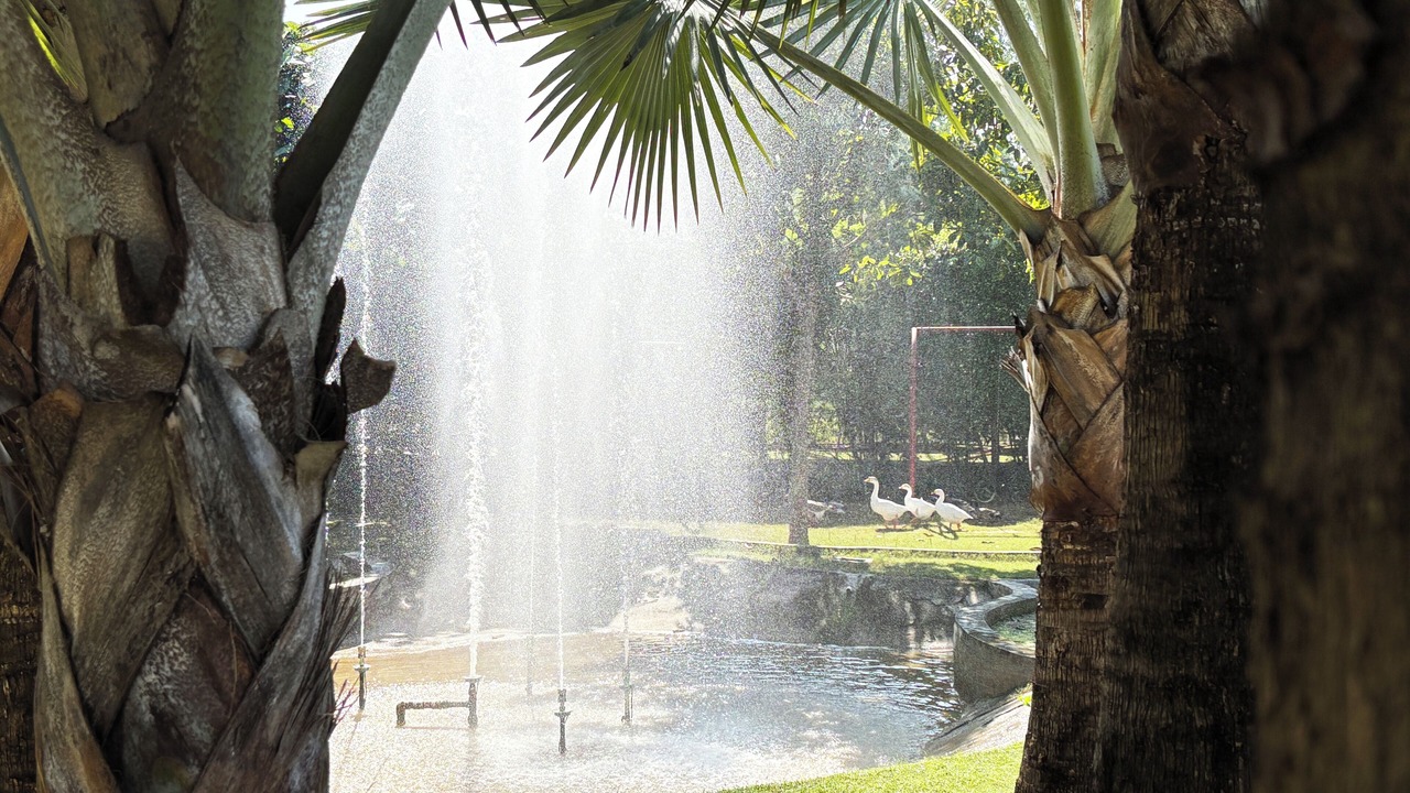 Photo of Outdoor in Kanda Range
