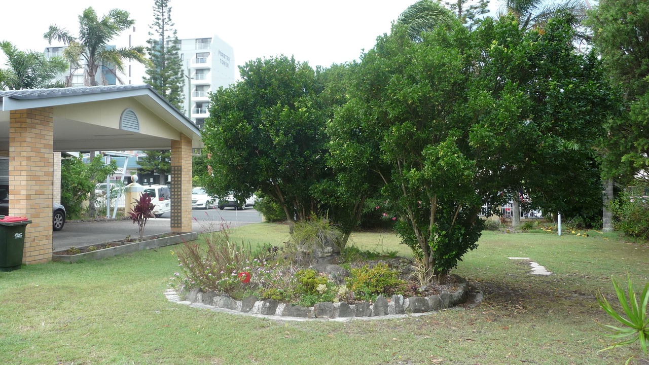 Photo of Outdoor in Forster