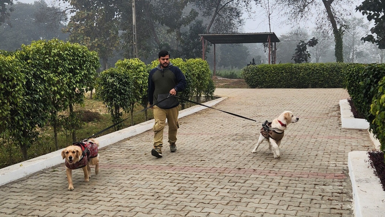 Photo of Outdoor in Lakhimpur