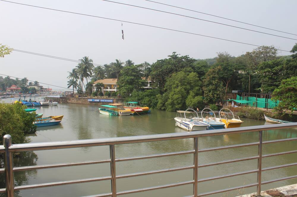 Photo of Others in Baga