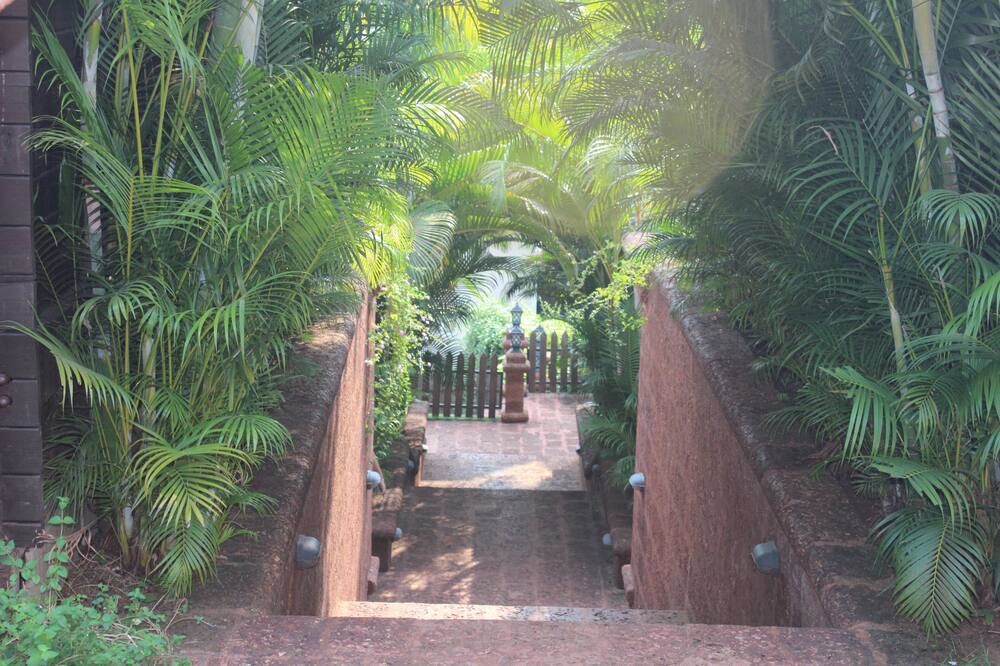 Photo of Outdoor in Baga