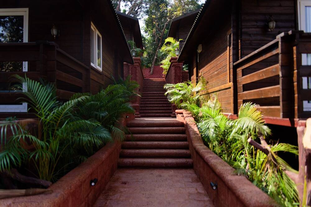Photo of Outdoor in Baga