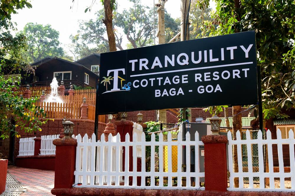 Photo of Outdoor in Baga