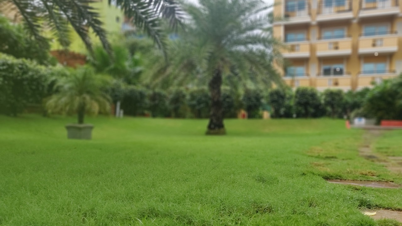 Photo of Outdoor in Calangute