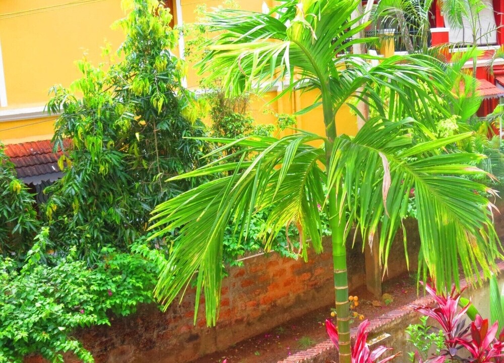 Photo of Outdoor in Arpora
