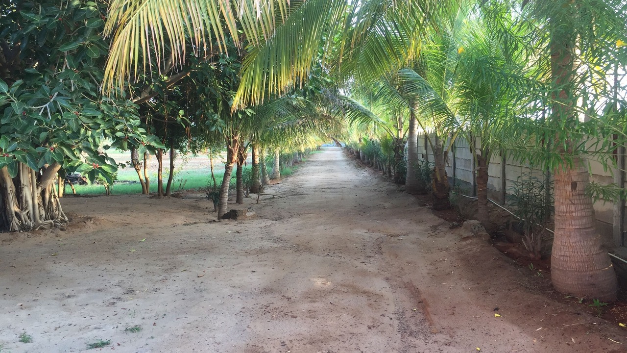 Photo of Outdoor in Bhuj