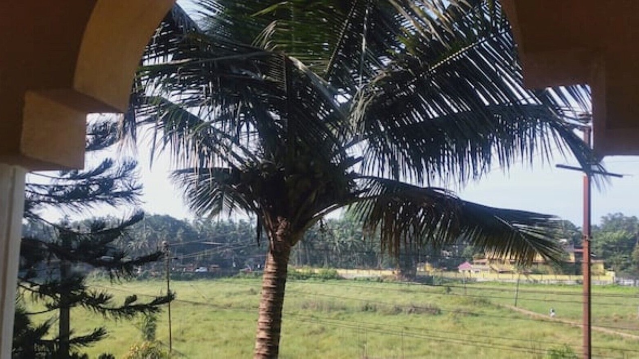 Photo of Others in Candolim