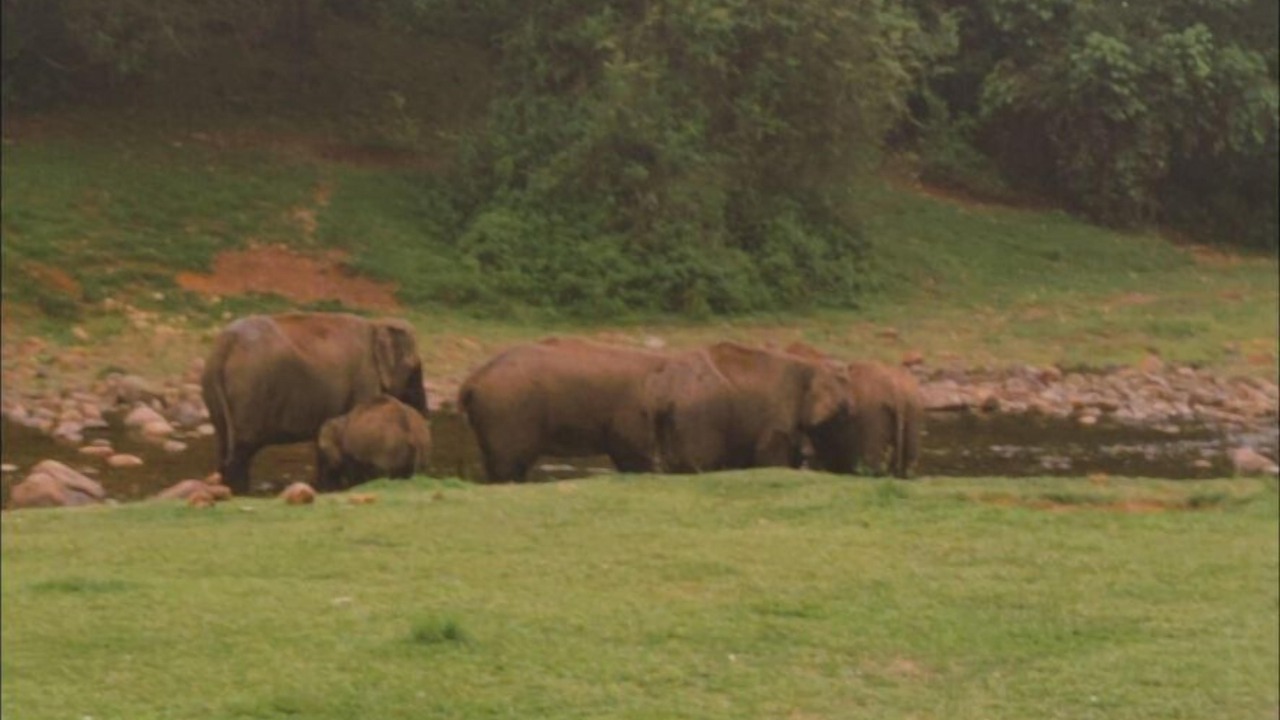 Photo of Others in Devikolam