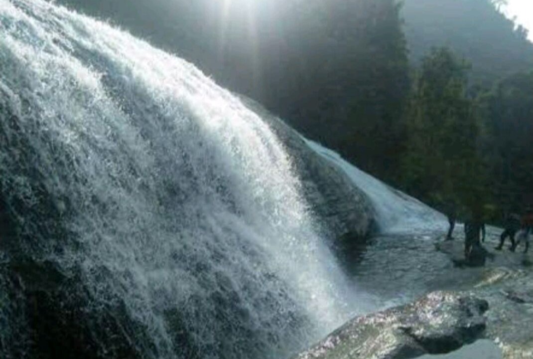 Photo of Others in Devikolam