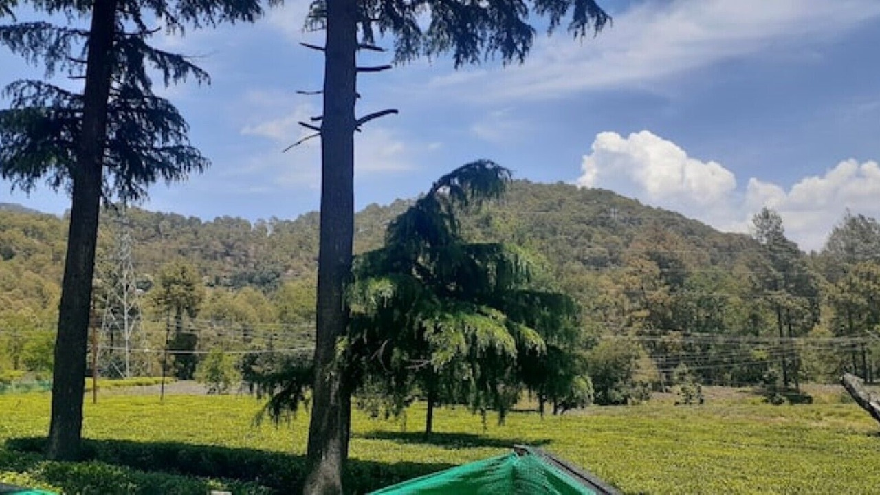 Photo of Outdoor in Bhimtal