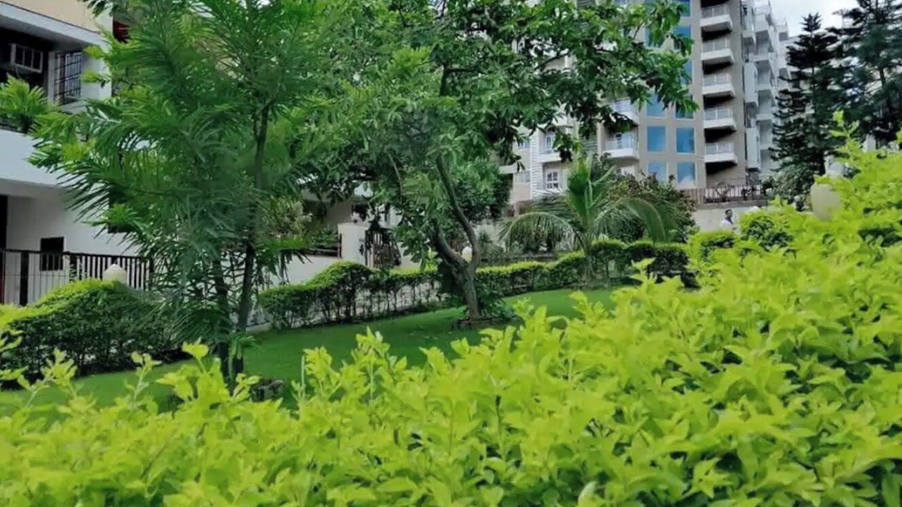 Photo of Outdoor in Rishikesh