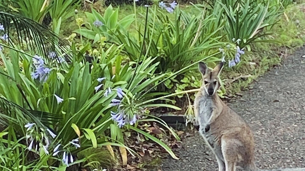 Photo of Outdoor in Dalmeny