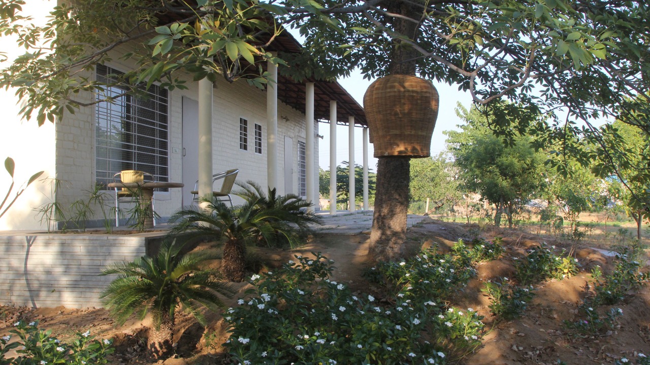 Photo of Outdoor in Jaipur