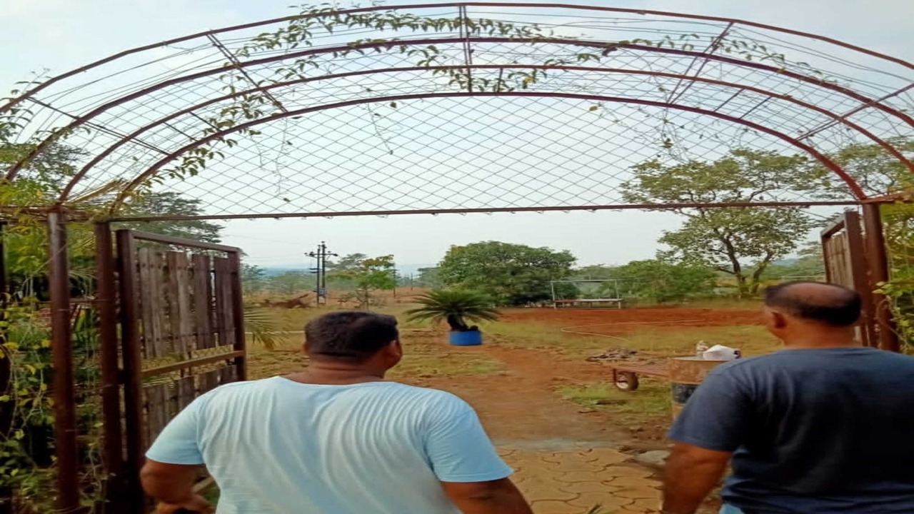 Photo of Outdoor in Kolad