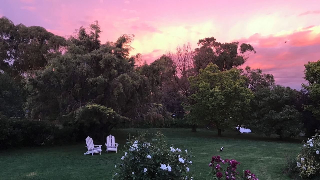 Photo of Outdoor in Mount Rankin