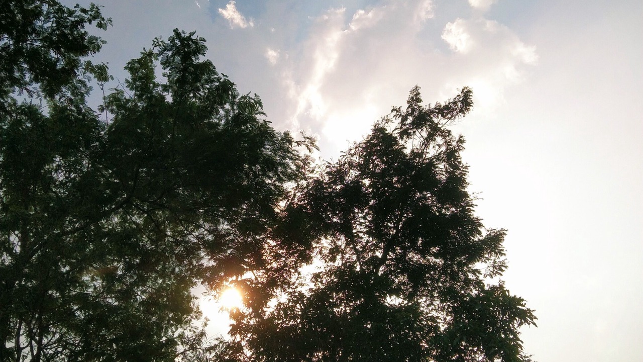 Photo of Outdoor in Murbad