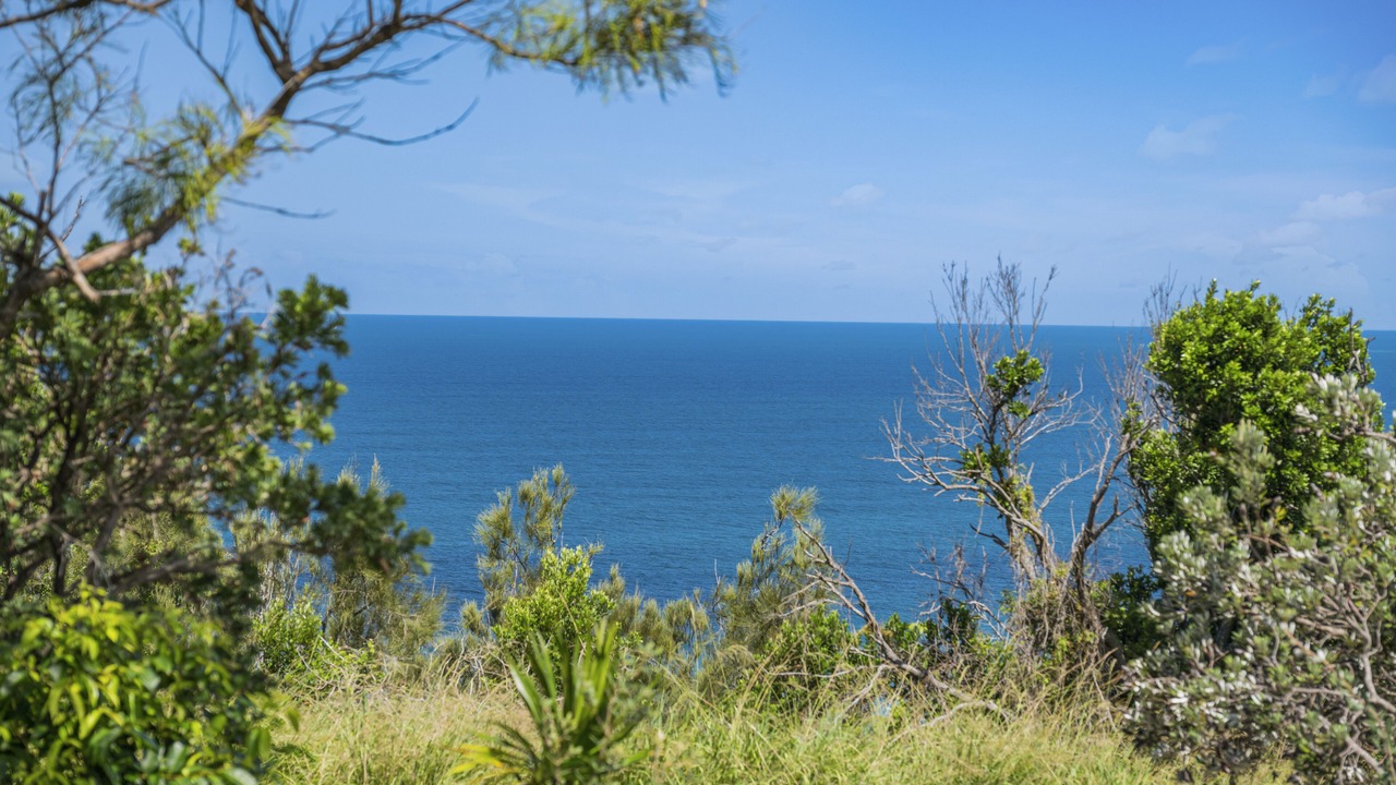 Photo of Others in Crescent Head