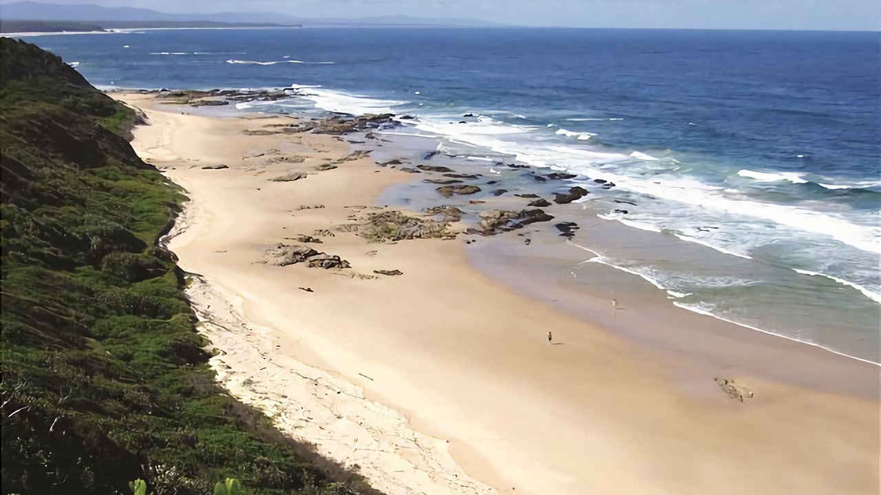 Photo of Others in Nambucca Heads