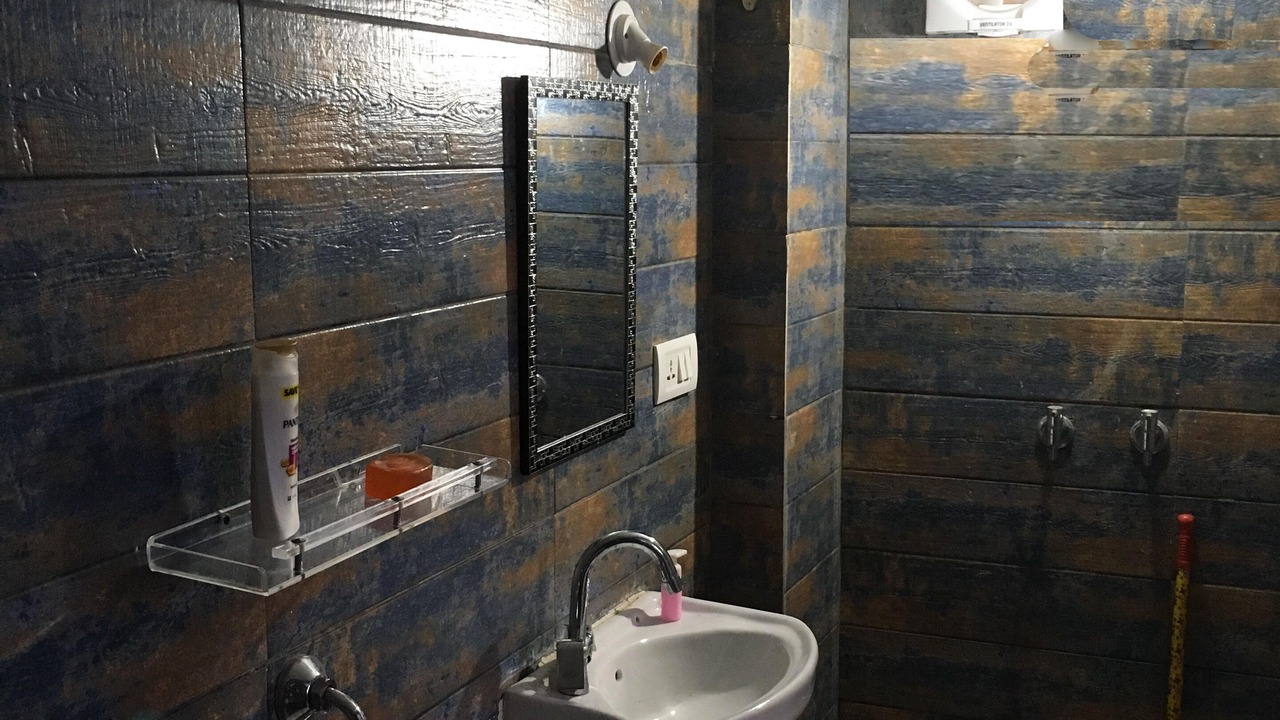 Photo of Bathroom in Bedla