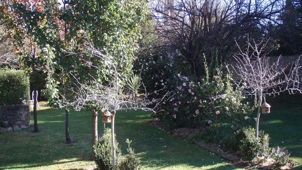 Photo of Outdoor in Bowral