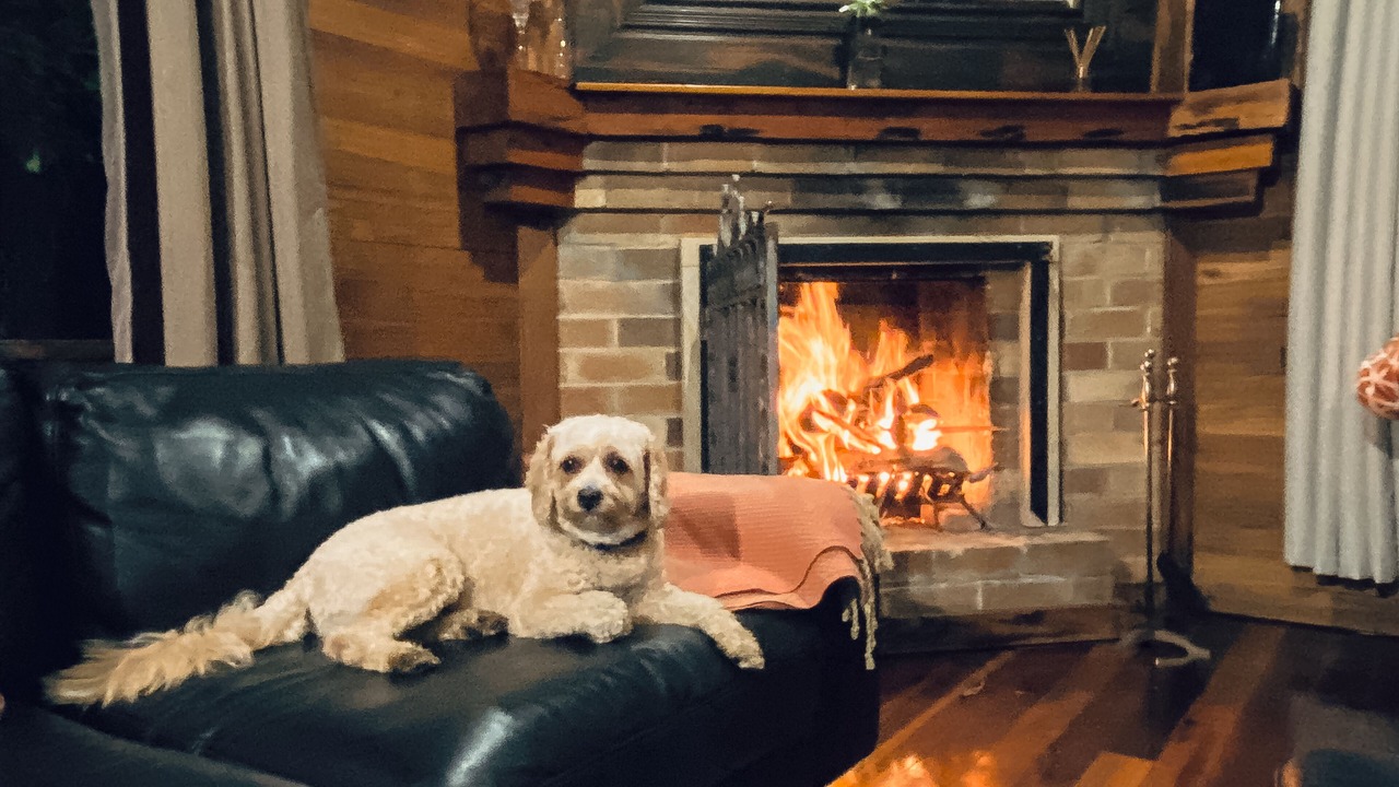 Photo of Livingroom in Rothbury