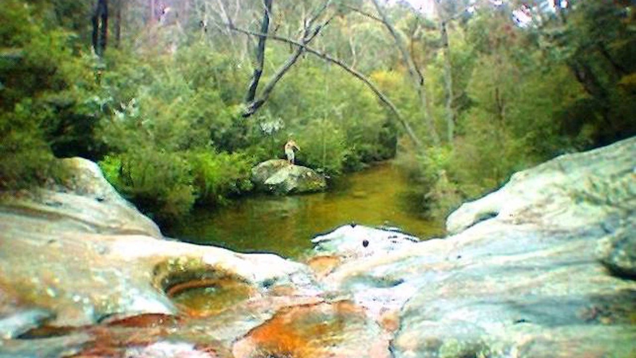 Photo of Others in Pearl Beach
