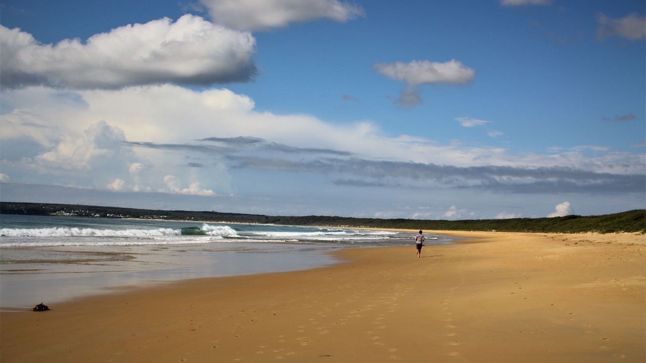 Photo of Others in Currarong