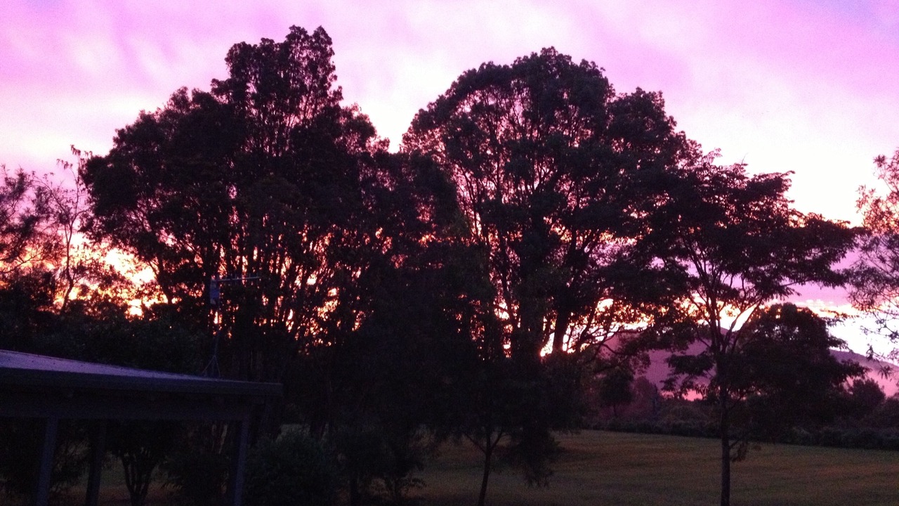 Photo of Outdoor in Gleniffer