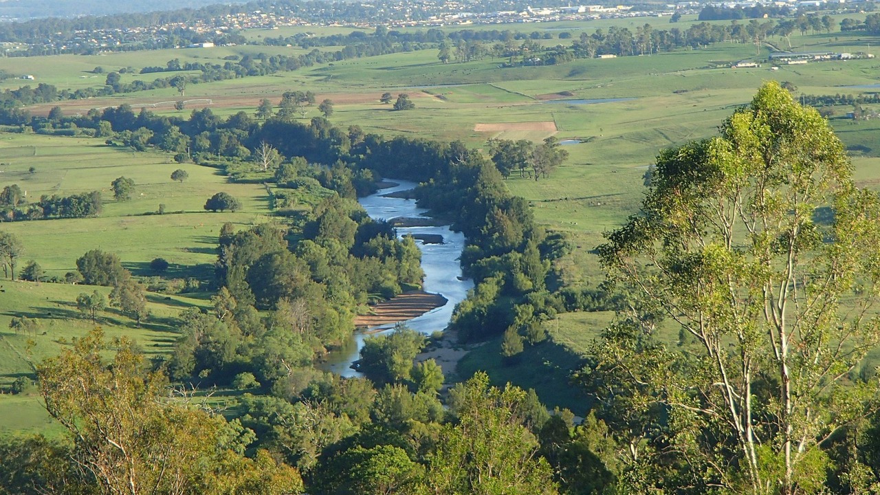 Photo of Others in Rosebrook