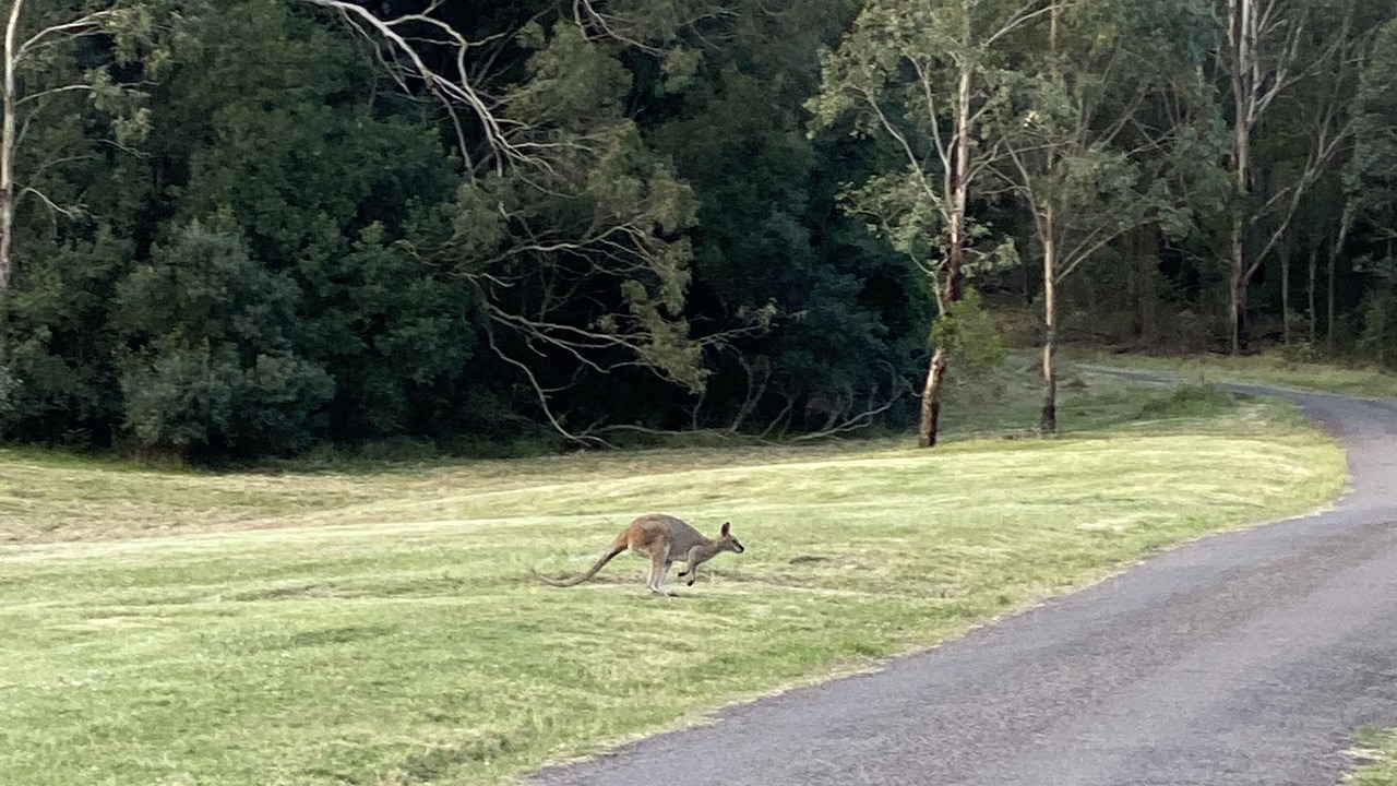 Photo of Outdoor in Rosebrook