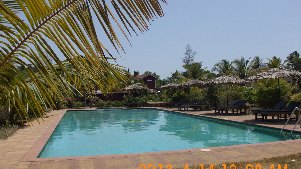 Photo of Outdoor in Orlim
