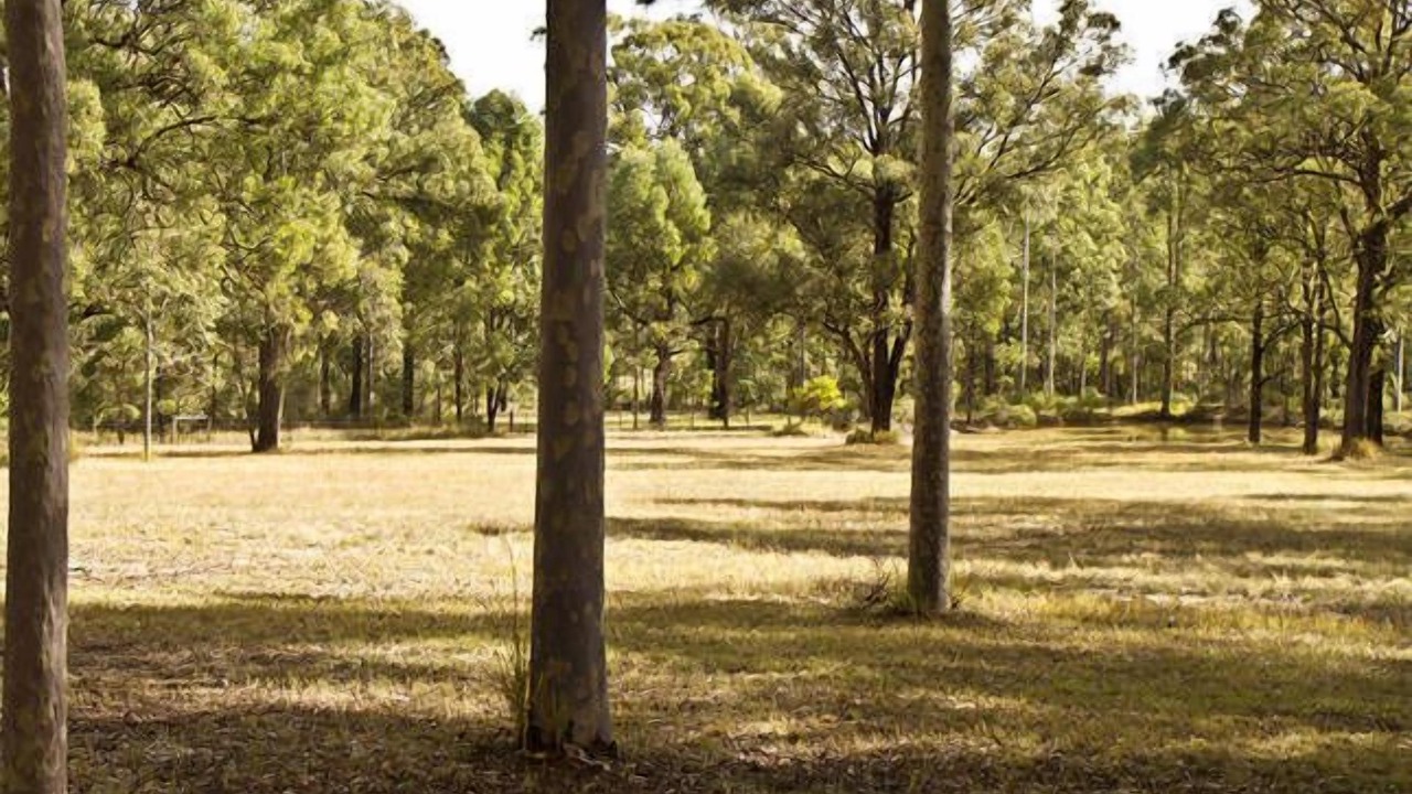 Photo of Others in Lovedale
