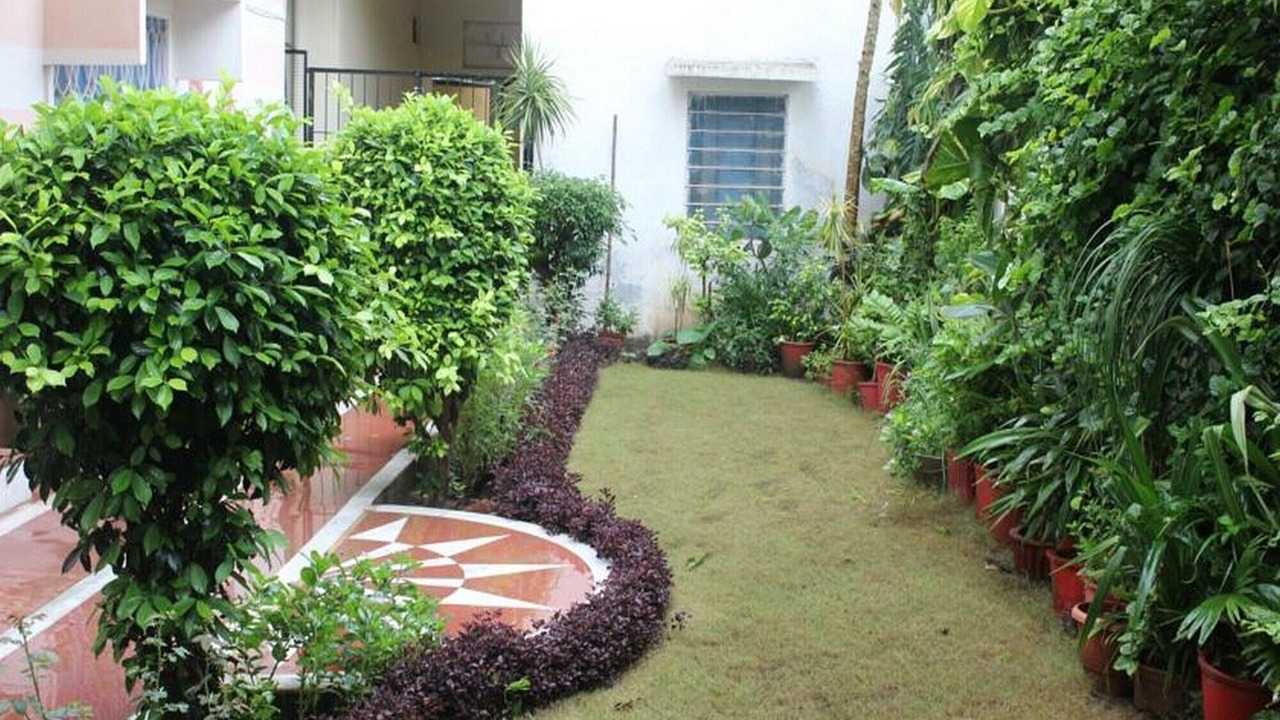 Photo of Outdoor in Udaipur