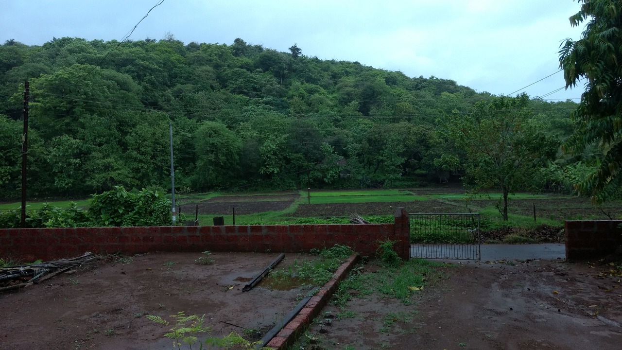 Photo of Outdoor in Dapoli