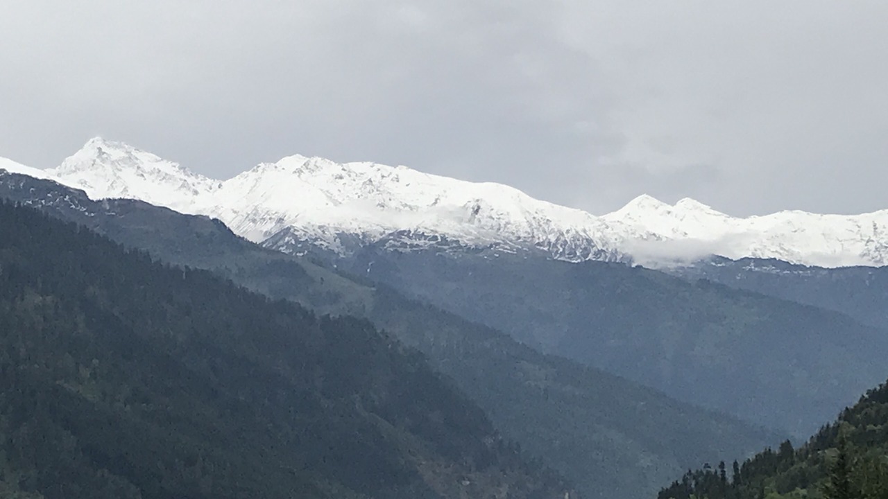 Photo of Others in Manali