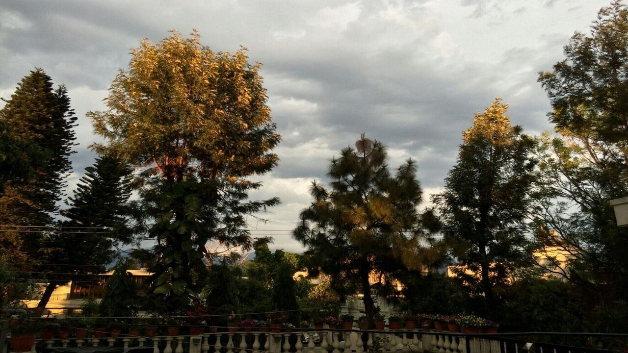 Photo of Others in Dehradun