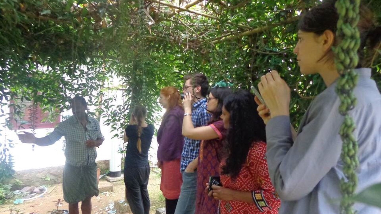 Photo of Outdoor in Devikolam