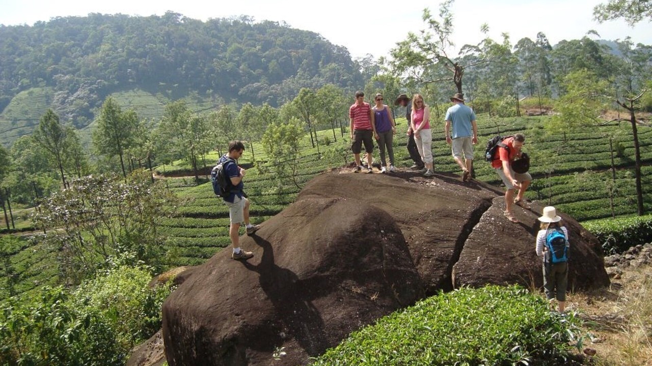 Photo of Others in Devikolam