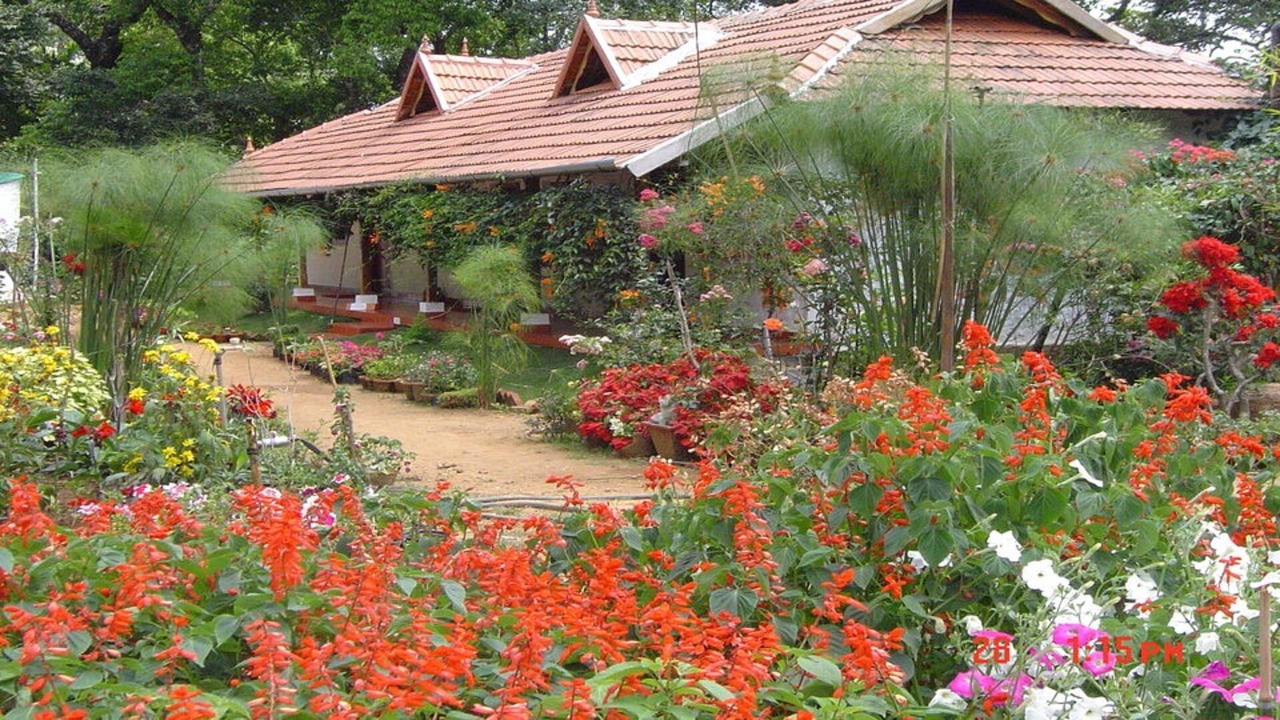 Photo of Outdoor in Devikolam