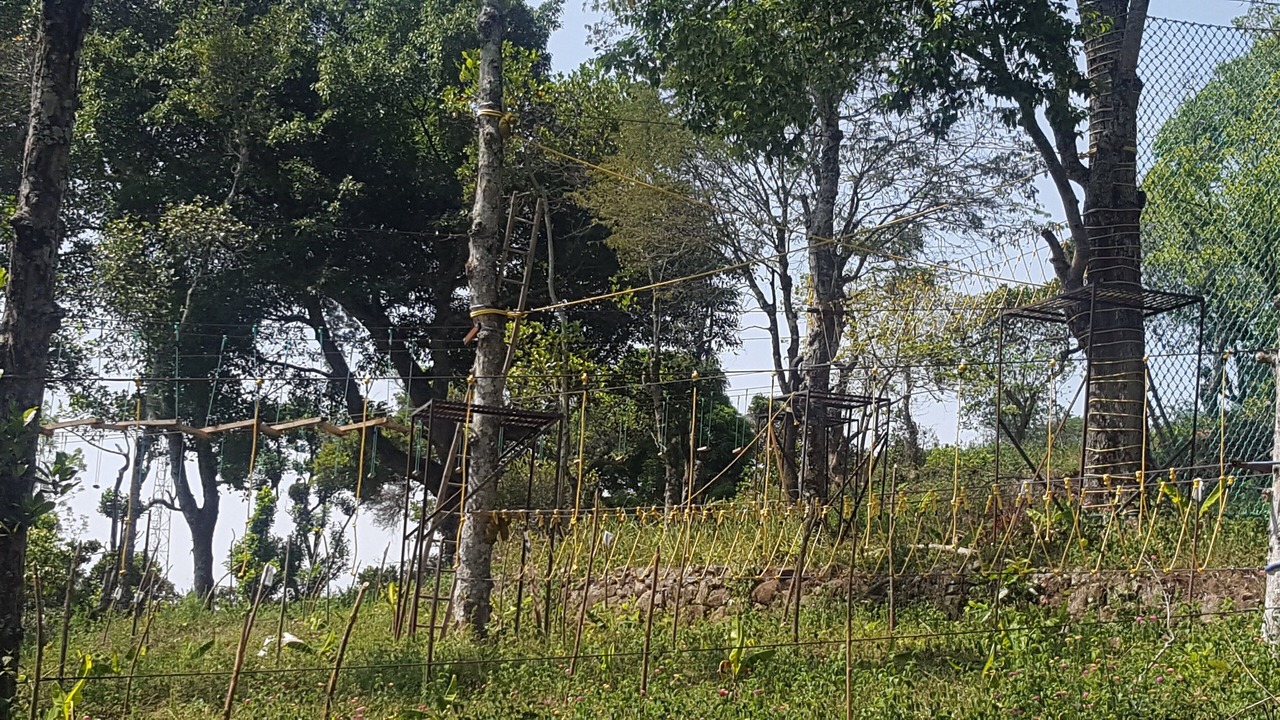 Photo of Outdoor in Kodaikanal