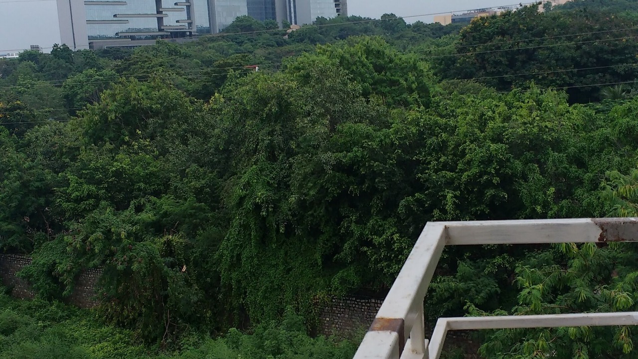 Photo of Outdoor in Hyderabad